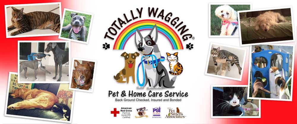 Totally Wagging Pet and
        Home Care Services (561)213-0922 / visit www.totallywagging.com / Dog Walking, Pet Sitting, Pet Care, Dog Training, Home Care, Senior Services, Food/Grocery Delivery