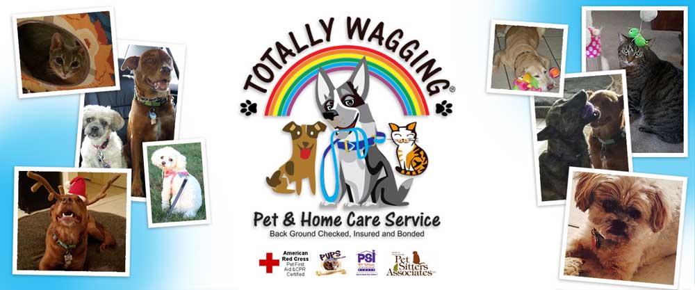 Totally Wagging Pet and
        Home Care Services (561)213-0922 / visit www.totallywagging.com / Dog Walking, Pet Sitting, Pet Care, Dog Training, Home Care, Senior Services, Food/Grocery Delivery