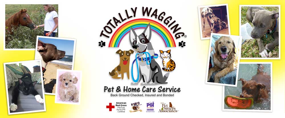 Totally Wagging Pet and
        Home Care Services (561)213-0922  / visit www.totallywagging.com / Dog Walking, Pet Sitting, Pet Care, Dog Training, Home Care, Senior Services, Food/Grocery Delivery