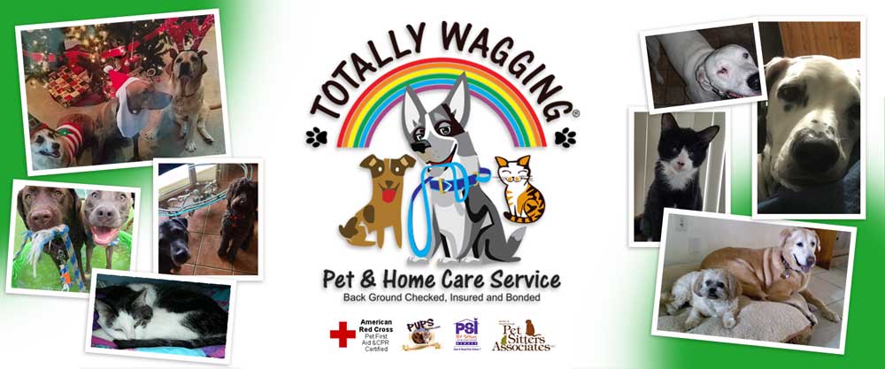 Totally Wagging Pet and
        Home Care Services (561)213-0922 / visit www.totallywagging.com / Dog Walking, Pet Sitting, Pet Care, Dog Training, Home Care, Senior Services, Food/Grocery Delivery