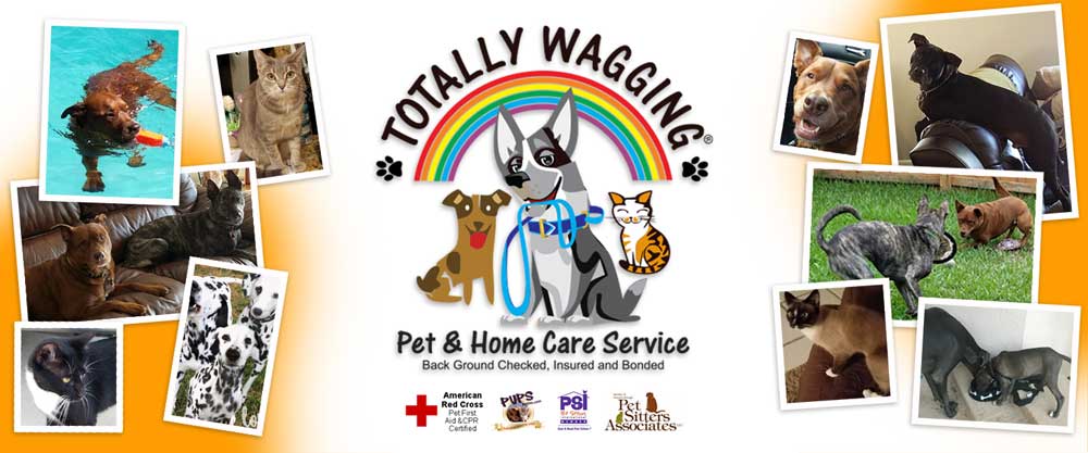 Totally Wagging Pet and
        Home Care Services (561)213-0922 / visit www.totallywagging.com / Dog Walking, Pet Sitting, Pet Care, Dog Training, Home Care, Senior Services, Food/Grocery Delivery