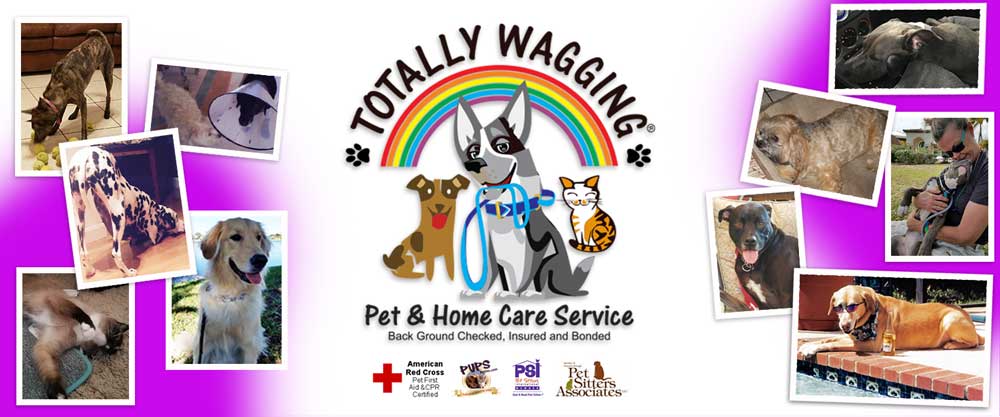 Totally Wagging Pet and
        Home Care Services (561)213-0922 / visit www.totallywagging.com / Dog Walking, Pet Sitting, Pet Care, Dog Training, Home Care, Senior Services, Food/Grocery Delivery